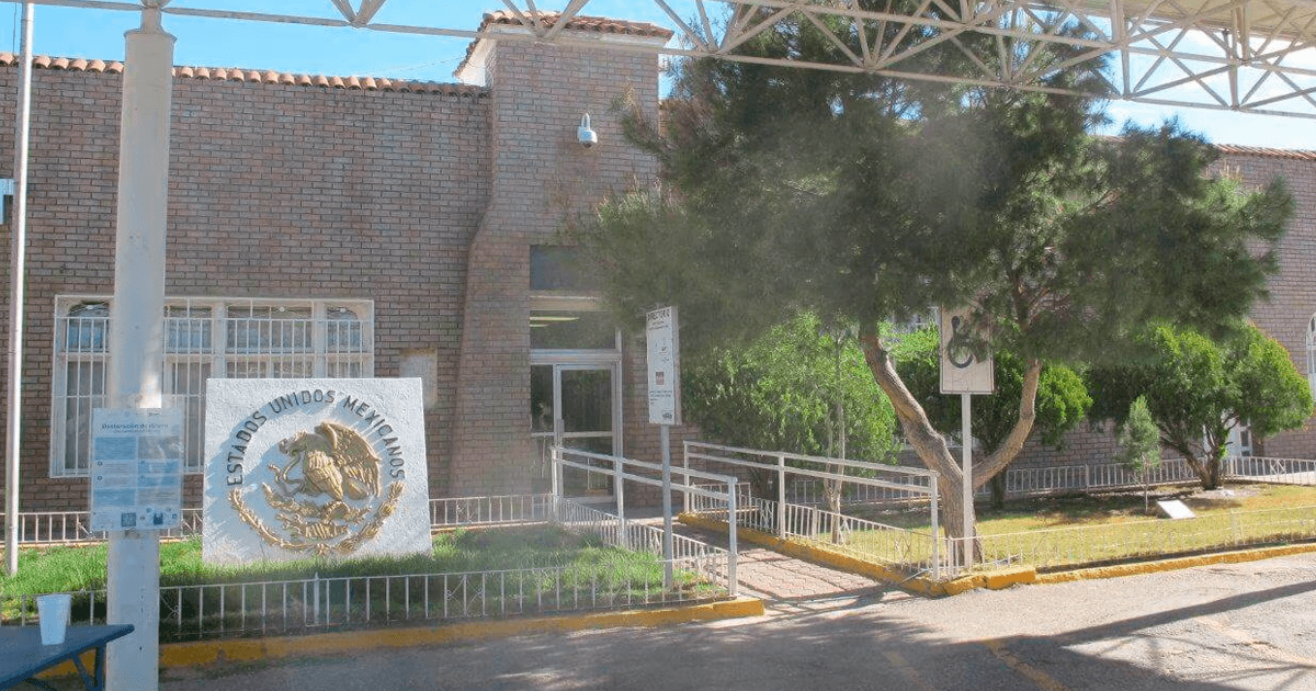 Aduana Puerto Palomas: Reporte cruce y garita de puentes palomas